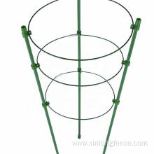 Climbing plant support trellis tomato flower 3 rings